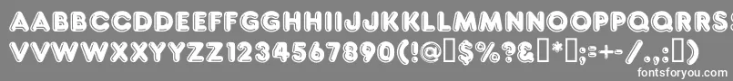 Frankc Font – White Fonts on Gray Background