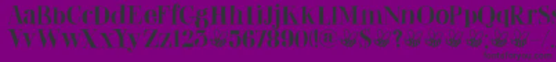 DkAbeille Font – Black Fonts on Purple Background