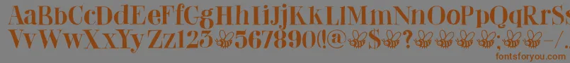 DkAbeille Font – Brown Fonts on Gray Background