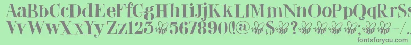 DkAbeille Font – Gray Fonts on Green Background