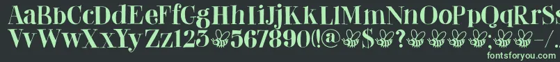 DkAbeille Font – Green Fonts on Black Background