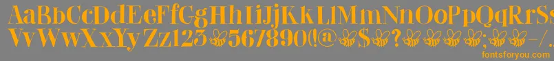 DkAbeille Font – Orange Fonts on Gray Background