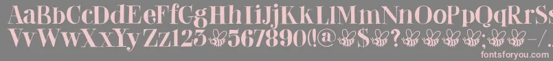 DkAbeille Font – Pink Fonts on Gray Background