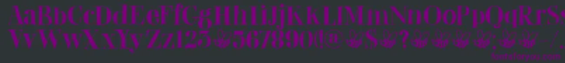 DkAbeille Font – Purple Fonts on Black Background