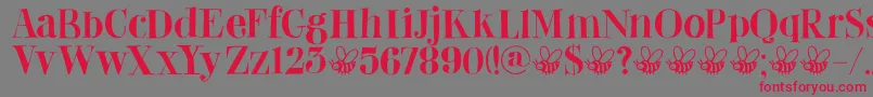 DkAbeille Font – Red Fonts on Gray Background