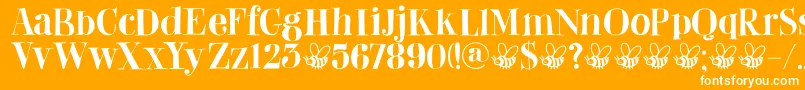 DkAbeille Font – White Fonts on Orange Background