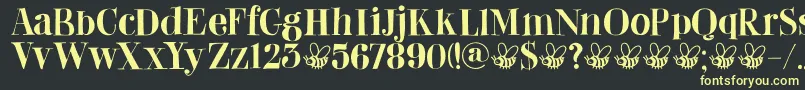 DkAbeille Font – Yellow Fonts on Black Background