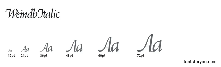 WeindbItalic Font Sizes