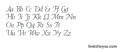 Обзор шрифта WeindbItalic