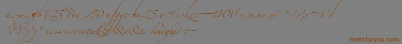 ZapfinoextraltAlternate Font – Brown Fonts on Gray Background