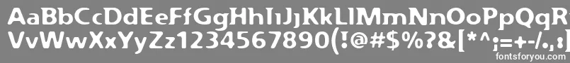 フォントFlexure – 灰色の背景に白い文字