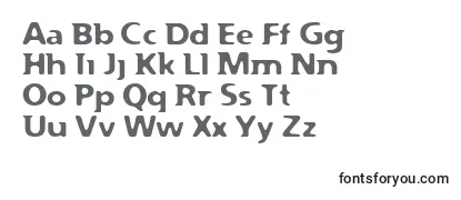 Review of the Flexure Font