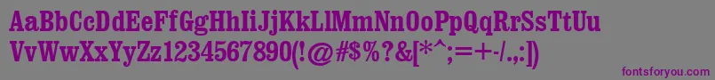 ClarendonCondensedРџРѕР»СѓР¶РёСЂРЅС‹Р№ Font – Purple Fonts on Gray Background