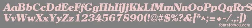 ClearlyromanheavyItalic-fontti – vaaleanpunaiset fontit harmaalla taustalla