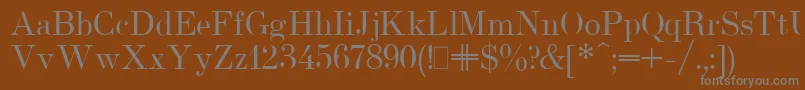 フォントUsualNewPlain.001.001 – 茶色の背景に灰色の文字