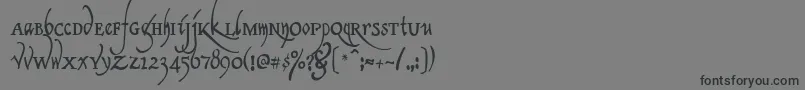 フォントClericaMedium – 黒い文字の灰色の背景