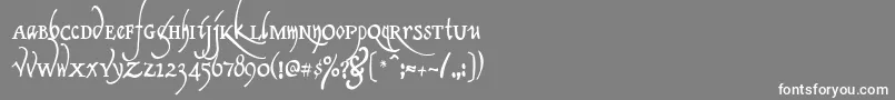 フォントClericaMedium – 灰色の背景に白い文字