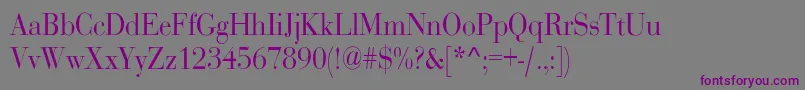 Шрифт RothnicndNorma – фиолетовые шрифты на сером фоне