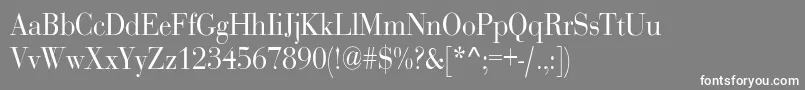 RothnicndNorma-fontti – valkoiset fontit harmaalla taustalla