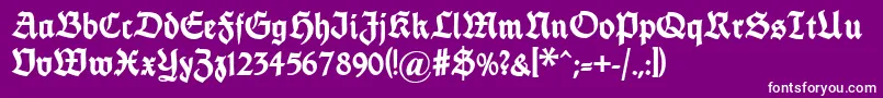 Fettethannhaeuser Font – White Fonts on Purple Background