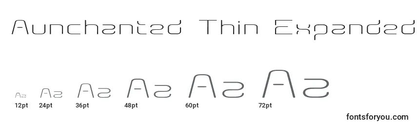 Aunchanted Thin Expanded Font Sizes