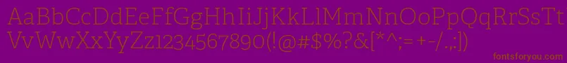 AdelleCyrillicThin Font – Brown Fonts on Purple Background