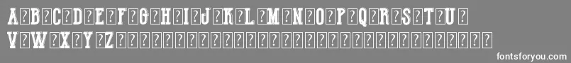 HotLegendTeamDemo Font – White Fonts on Gray Background