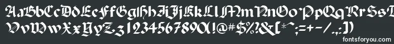 BallistadisplayscriptsskRegular Font – White Fonts on Black Background