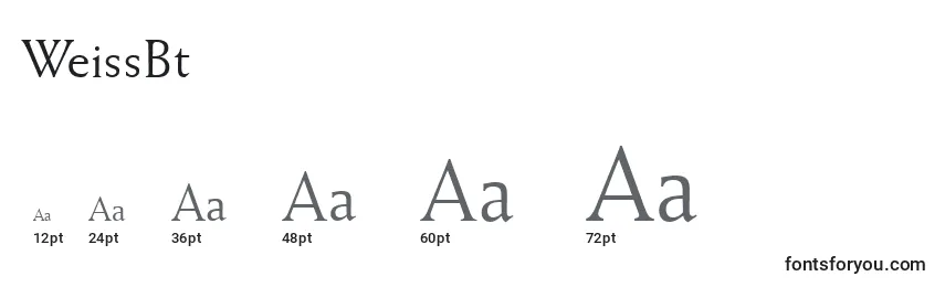 WeissBt Font Sizes