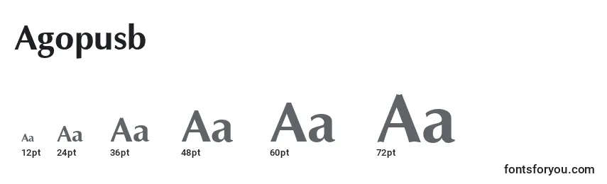 Размеры шрифта Agopusb