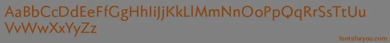 Fabersanspro65reduced Font – Brown Fonts on Gray Background
