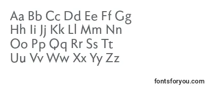 Fabersanspro65reduced Font