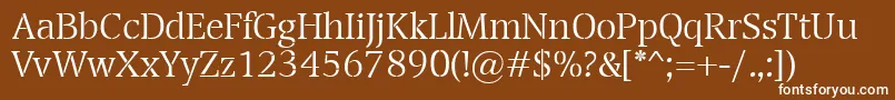 TransportLight Font – White Fonts on Brown Background