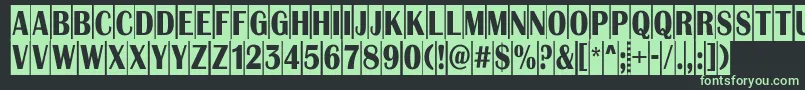 フォントAAlbionictitulnrcm – 黒い背景に緑の文字