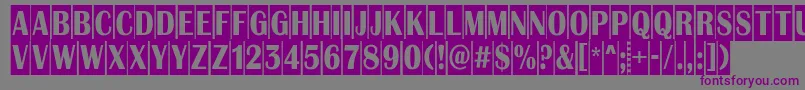AAlbionictitulnrcm Font – Purple Fonts on Gray Background