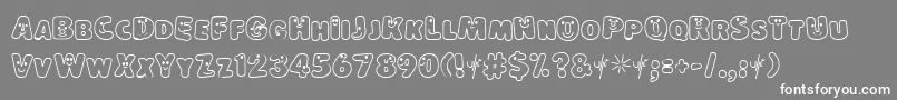 フォントLokish – 灰色の背景に白い文字