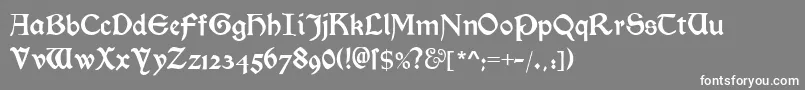 MorrisromanalternateBlack Font – White Fonts on Gray Background