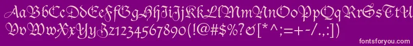 Ducdeberryltstd Font – Pink Fonts on Purple Background