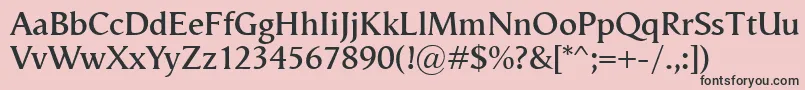 VegaAntikvaSemibold Font – Black Fonts on Pink Background