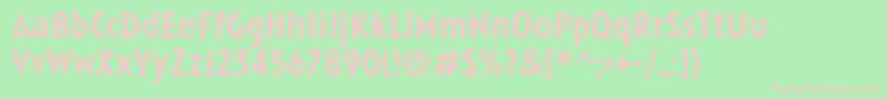 LinotypeSpitzMedium Font – Pink Fonts on Green Background