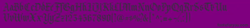 Princevaliant Font – Black Fonts on Purple Background