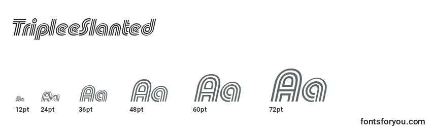 TripleeSlanted Font Sizes
