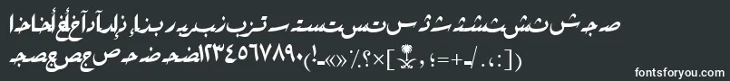 AymRikaSUNormal. Font – White Fonts on Black Background