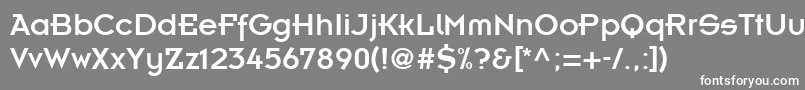 KernelAlternateSsiAlternate Font – White Fonts on Gray Background
