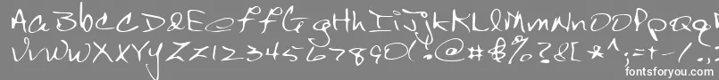 Lehn150 Font – White Fonts on Gray Background
