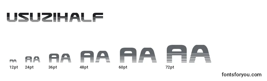 Размеры шрифта Usuzihalf