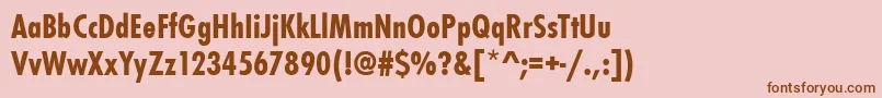 StFunctionBoldCondensed Font – Brown Fonts on Pink Background