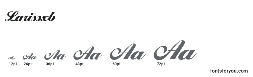 Larissxb Font Sizes