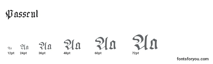 Размеры шрифта Passeul