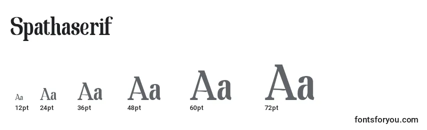Spathaserif Font Sizes
